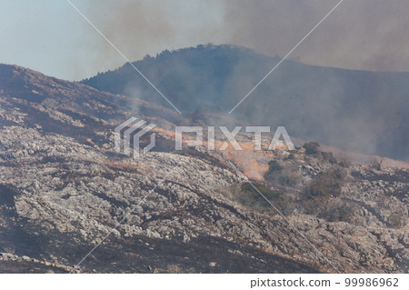平尾台露天焚燒，春天的傳統，北九州國定公園平尾台 99986962