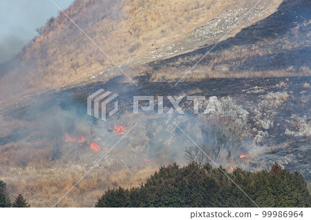 平尾台露天焚燒，春天的傳統，北九州國定公園平尾台 99986964