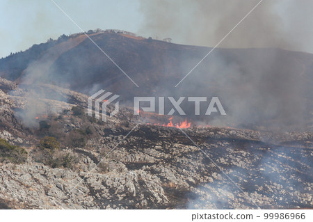 Open burning of Hiraodai, a spring tradition, Kitakyushu Quasi-National Park Hiraodai 99986966