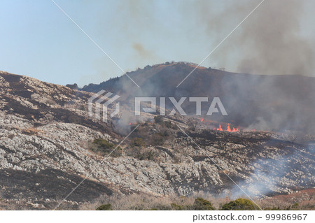 Open burning of Hiraodai, a spring tradition, Kitakyushu Quasi-National Park Hiraodai 99986967
