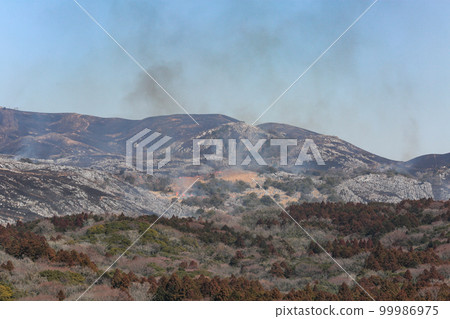 平尾台露天焚燒，春天的傳統，北九州國定公園平尾台 99986975