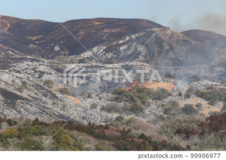 平尾台露天焚燒，春天的傳統，北九州國定公園平尾台 99986977