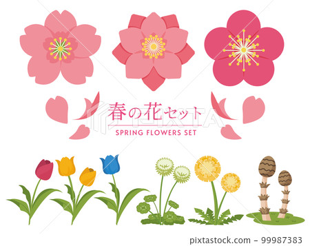 春天的花朵 99987383