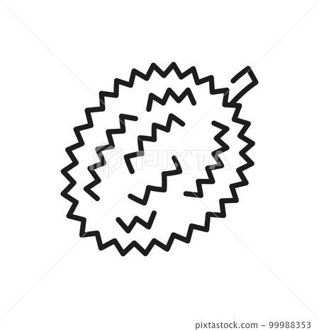 Tropical durian half cut exotic fruit isolated food dessert line icon. Vector smelling fruit, outline breadfruit jackfruit with spikes, vegetarian snack Tropical durian half cut exotic fruit isolated food dessert line icon. Vector smelling fruit, outline breadfruit jackfruit with spikes, vegetarian snack 99988353