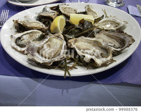 Cancale oysters 99988376