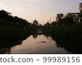 sky with evening scenery 99989156