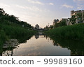 sky with evening scenery 99989160
