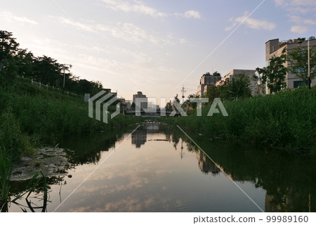 天空與傍晚的風景 天空與傍晚的風景 99989160