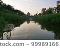 sky with evening scenery 99989166