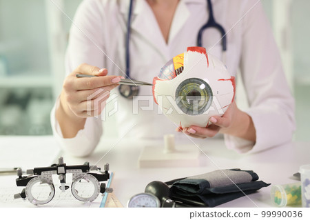 Female ophthalmologist shows an anatomical model of human eye while sitting at table in clinic. Female ophthalmologist shows an anatomical model of human eye while sitting at table in clinic. 99990036