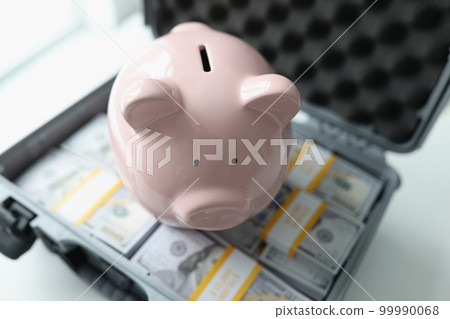 Top view of piggy bank on packs of dollar banknotes in briefcase. Top view of piggy bank on packs of dollar banknotes in briefcase. 99990068