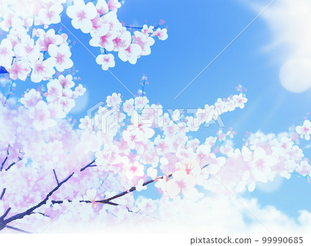 Illustration background material of blue sky and cherry blossoms Illustration background material of blue sky and cherry blossoms 99990685