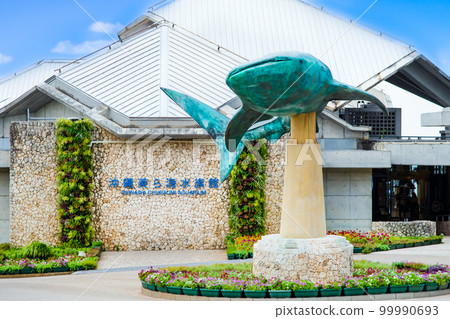 Okinawa Churaumi Aquarium Okinawa Churaumi Aquarium 99990693