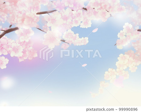 Cherry blossom illustration background material Cherry blossom illustration background material 99990896