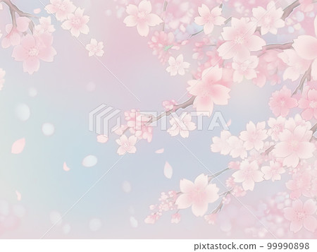 Cherry blossom illustration background material Cherry blossom illustration background material 99990898