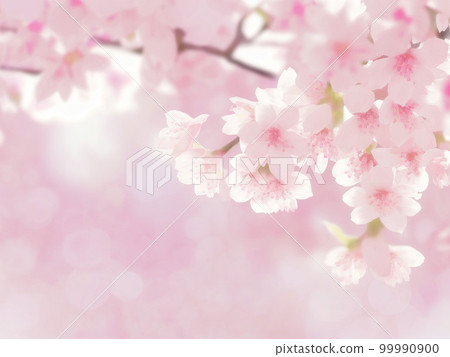 櫻花插畫背景素材 櫻花插畫背景素材 99990900