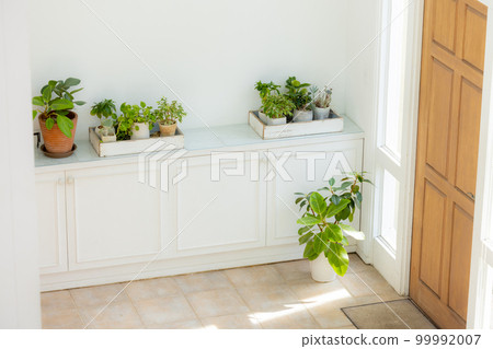Entrance interior 99992007