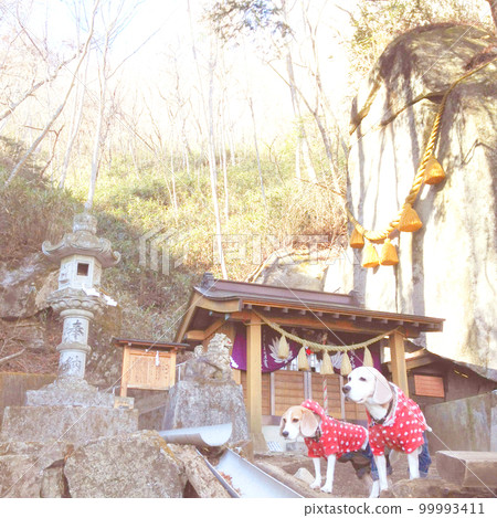 Ishiwari Shrine and two beagle dogs Ishiwari Shrine and two beagle dogs 99993411