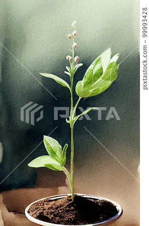 Fresh green watercolor sprout vertical poster. Tender growing plant. Spring and nature concept. AI generated creative decorative watercolor vertical print. 99993428