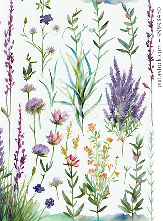 Provence herbs abstract watercolor pattern. Savory and rosemary plants, basil, thyme and oregano herbs on white background. AI generated creative decorative watercolor vertical print. 99993430