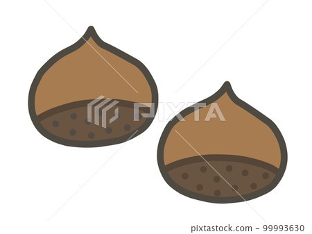 hand drawn illustration of chestnut hand drawn illustration of chestnut 99993630