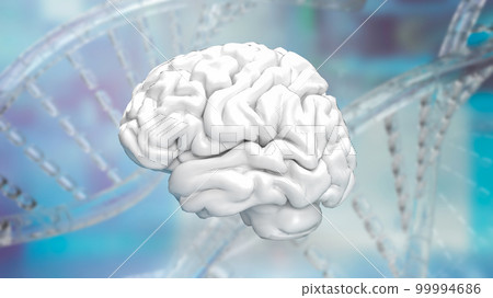 The white Brain on Dna background for sci or health and medical concept 3d rendering 99994686