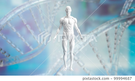 The white muscle model on Dna background for sci or health and medical concept 3d rendering 99994687