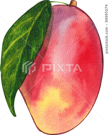 Mango watercolor png element 99995074