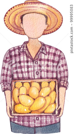 Mango watercolor png element Mango watercolor png element 99995083