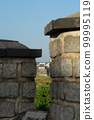 Suwon Hwaseong 99995119