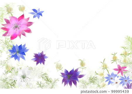 black grass flower card 99995439