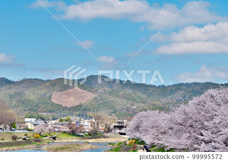 Gozan Okuribi“Funagata”山脈和春季櫻花盛開的賀茂川 Gozan Okuribi“Funagata”山脈和春季櫻花盛開的賀茂川 99995572