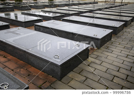 Graves in a cemetery 99996786