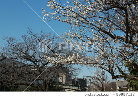 I walked Oda Ryokuchi I walked Oda Ryokuchi 99997138