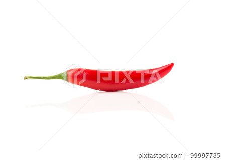 fresh red chili on white background fresh red chili on white background 99997785