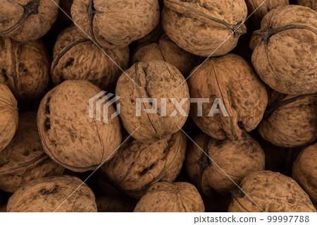 Walnut nut closeup Walnut nut closeup 99997788