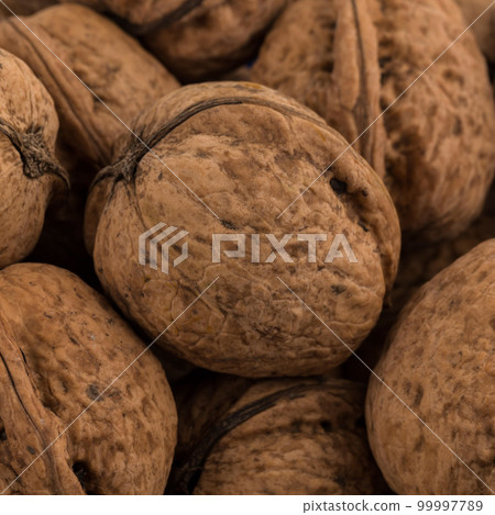 Walnut nut closeup 99997789