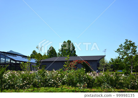 我去了茨城花卉公園#59 99998135
