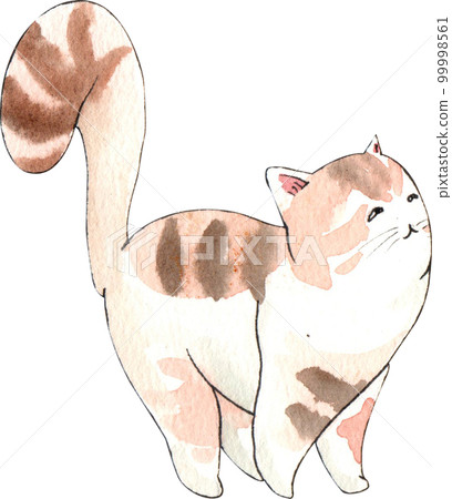 Kitten cat watercolor png element Kitten cat watercolor png element 99998561