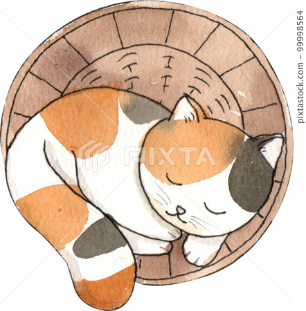 Kitten cat watercolor png element Kitten cat watercolor png element 99998564