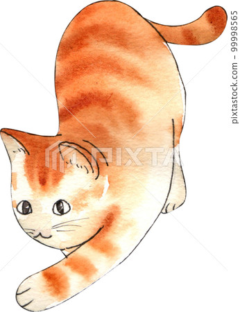 Kitten cat watercolor png element Kitten cat watercolor png element 99998565