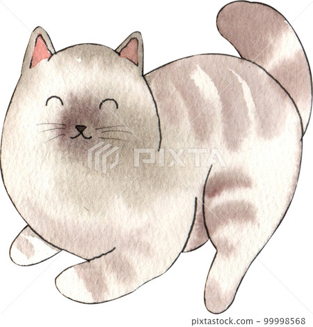 Kitten cat watercolor png element Kitten cat watercolor png element 99998568