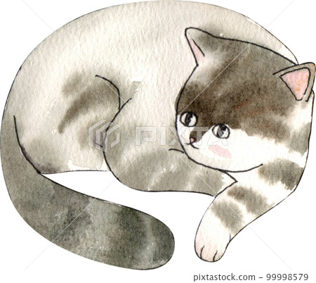 Kitten cat watercolor png element Kitten cat watercolor png element 99998579