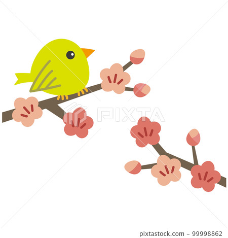 梅花和白眼/鶯的插圖 99998862