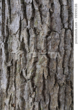 Background material bark 99999186