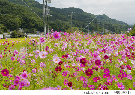 宇宙公路 99999712