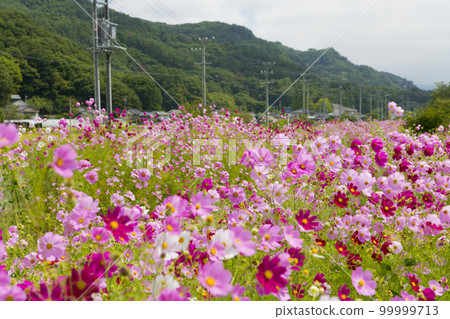 宇宙公路 宇宙公路 99999713