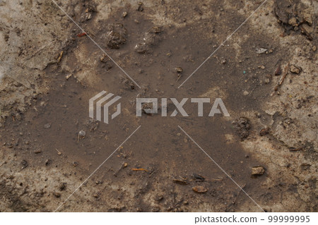 Old and dirty cement wall texture background Old and dirty cement wall texture background 99999995