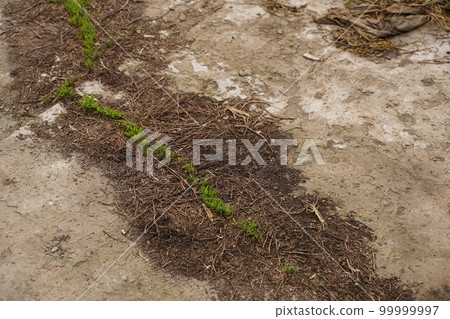 Old cement wall with cracks and stains Old cement wall with cracks and stains 99999997
