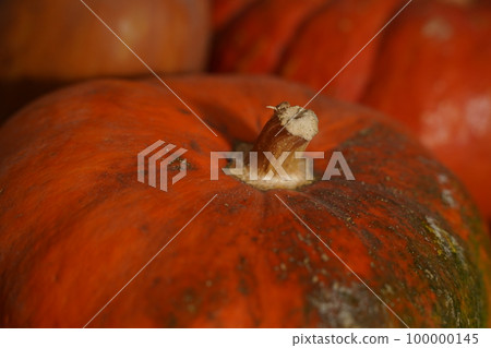 Black mold on the pumpkin. Rotten orange pumpkin. Spoiled food. Rotten foods. Moldy vegetable. Selective focus 100000145